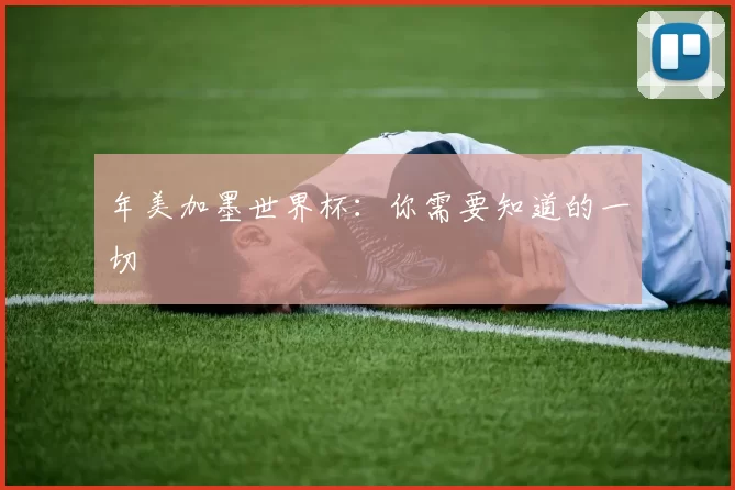 年美加墨世界杯:你需要知道的一切