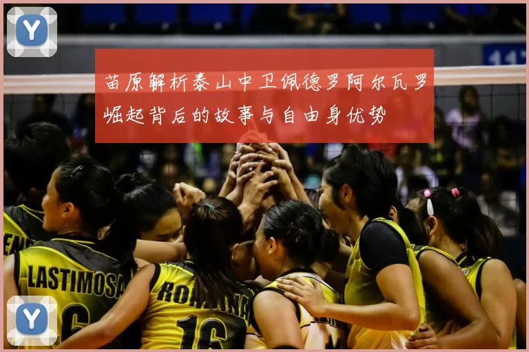 苗原解析泰山中卫佩德罗阿尔瓦罗崛起背后的故事与自由身优势