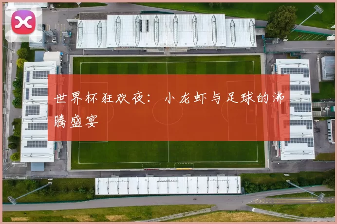 世界杯狂欢夜:小龙虾与足球的沸腾盛宴
