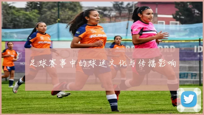 足球赛事中的球迷文化与传播影响