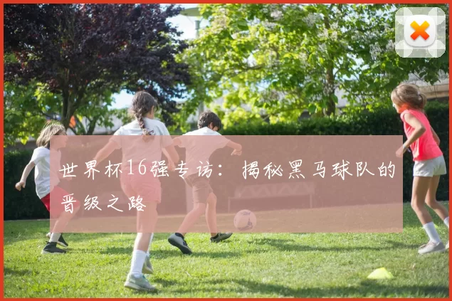 世界杯16强专访:揭秘黑马球队的晋级之路