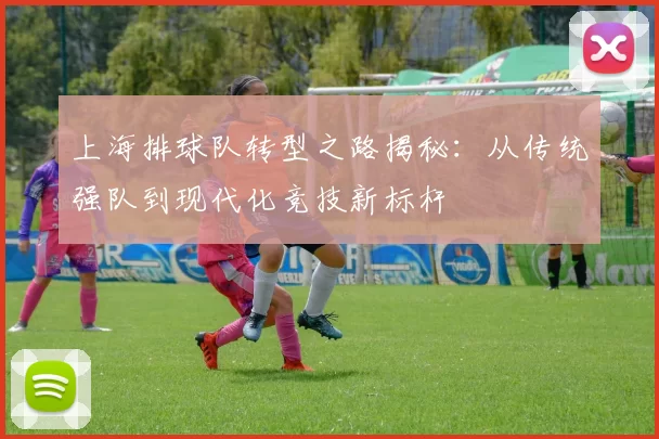 上海排球队转型之路揭秘:从传统强队到现代化竞技新标杆