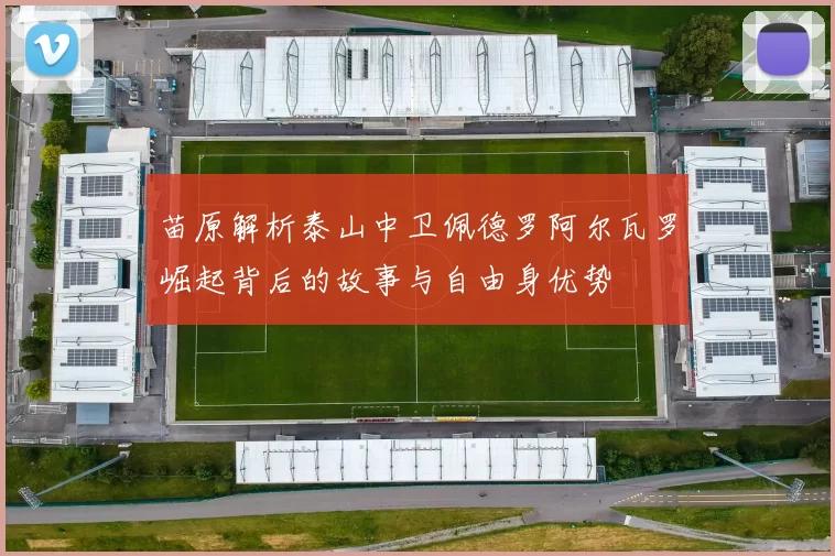 苗原解析泰山中卫佩德罗阿尔瓦罗崛起背后的故事与自由身优势