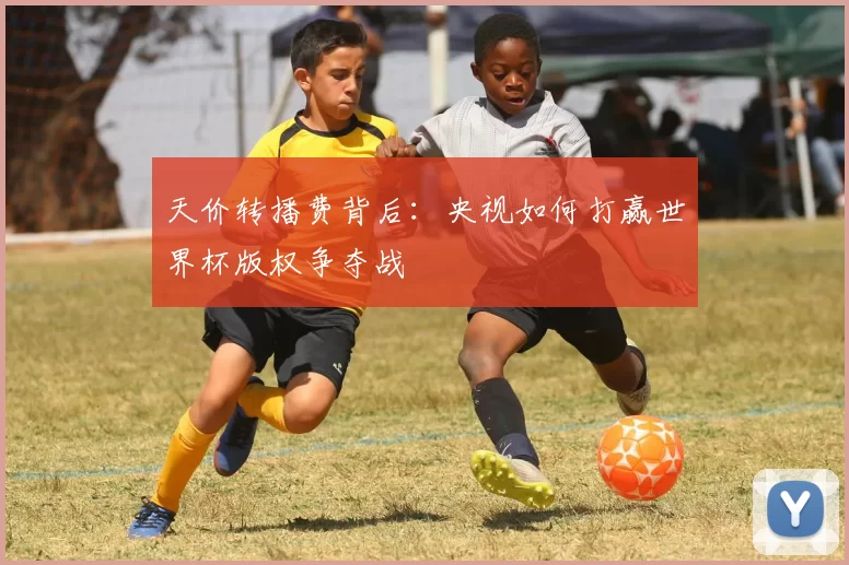 天价转播费背后：央视如何打赢世界杯版权争夺战