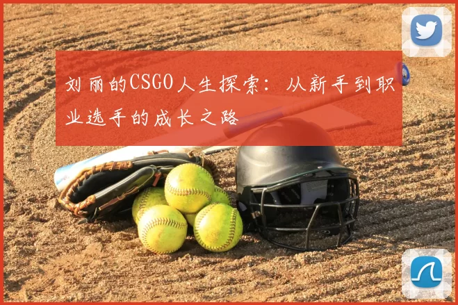 刘丽的CSGO人生探索：从新手到职业选手的成长之路