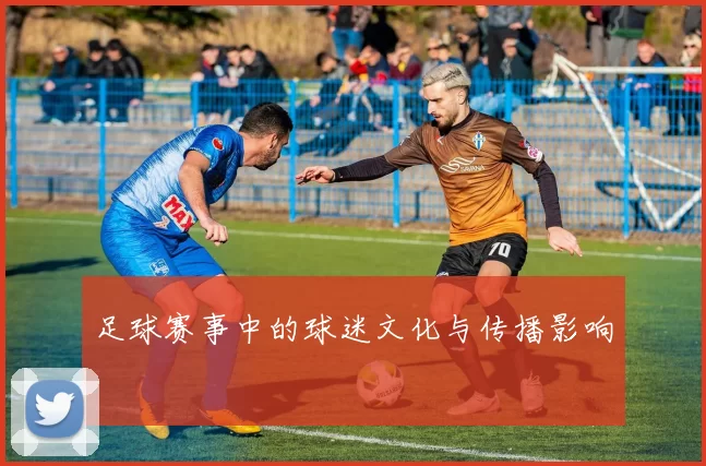 足球赛事中的球迷文化与传播影响