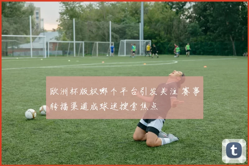 欧洲杯版权哪个平台引发关注 赛事转播渠道成球迷搜索焦点