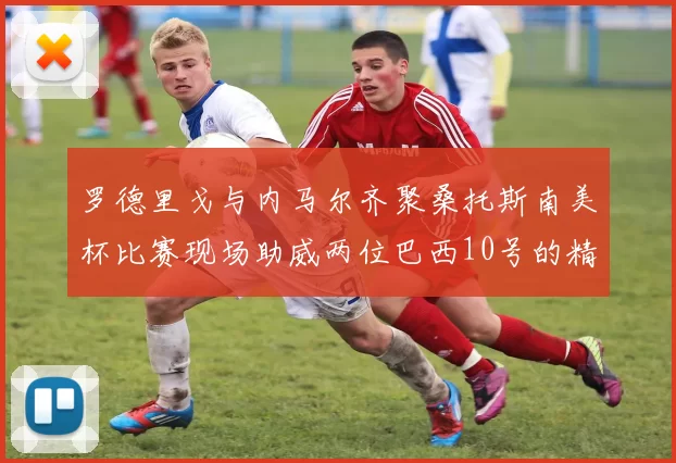 罗德里戈与内马尔齐聚桑托斯南美杯比赛现场助威两位巴西10号的精彩时刻