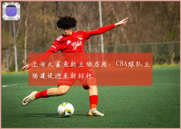 上海大鲨鱼新主场启用，CBA球队主场建设迎来新标杆