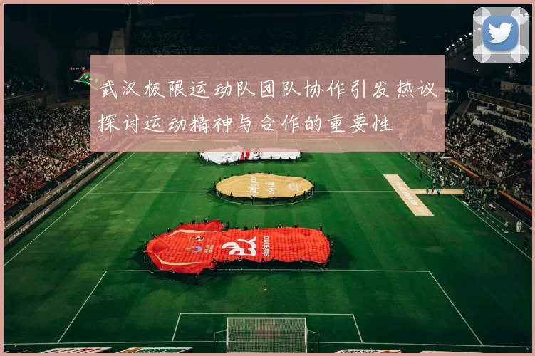 武汉极限运动队团队协作引发热议探讨运动精神与合作的重要性