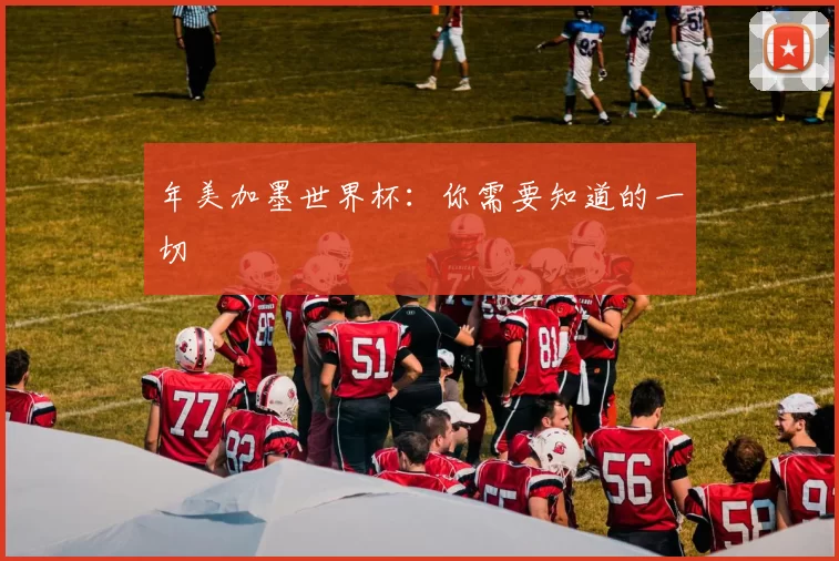 年美加墨世界杯:你需要知道的一切
