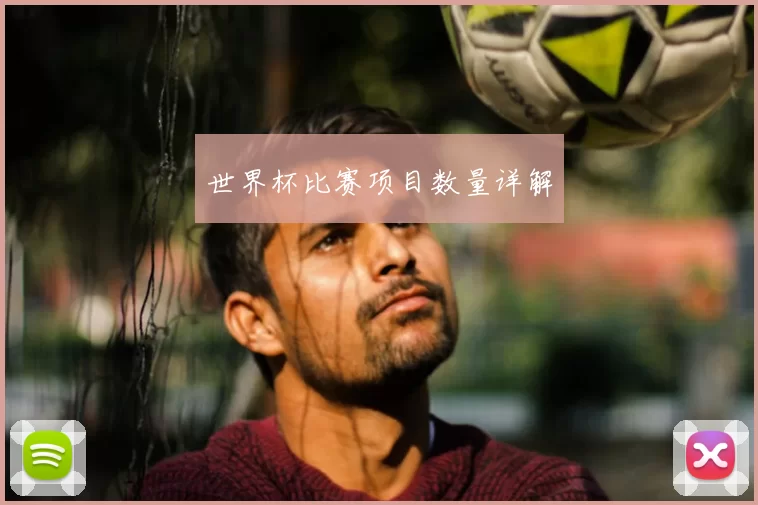 世界杯比赛项目数量详解