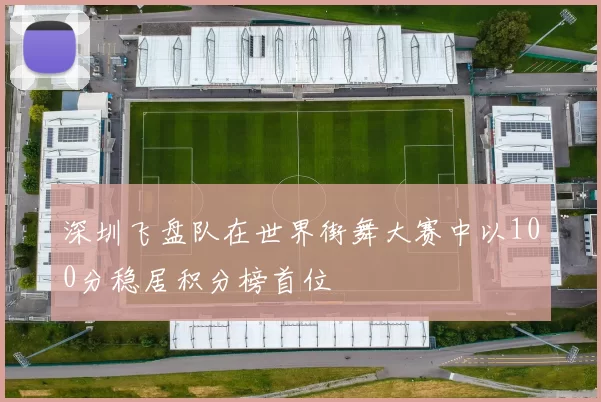 深圳飞盘队在世界街舞大赛中以100分稳居积分榜首位