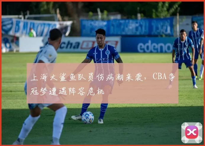 上海大鲨鱼队员伤病潮来袭，CBA争冠梦遭遇阵容危机