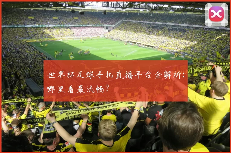世界杯足球手机直播平台全解析：哪里看最流畅？