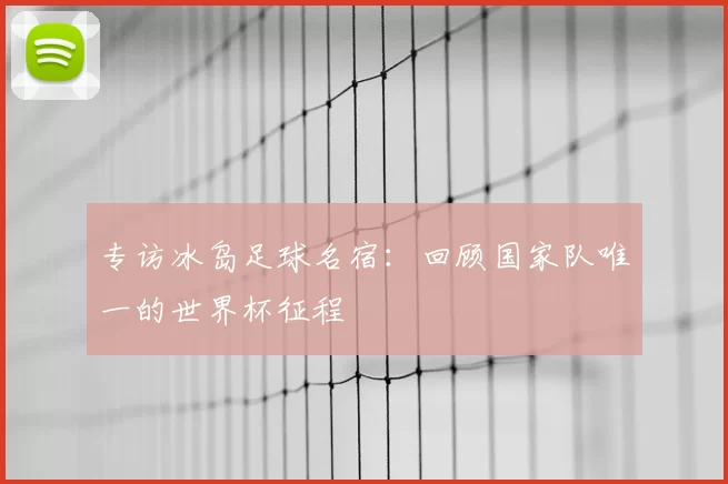 专访冰岛足球名宿:回顾国家队唯一的世界杯征程