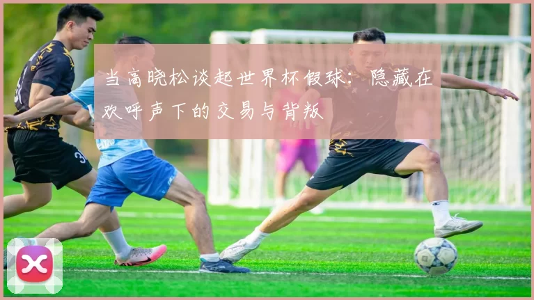 当高晓松谈起世界杯假球:隐藏在欢呼声下的交易与背叛