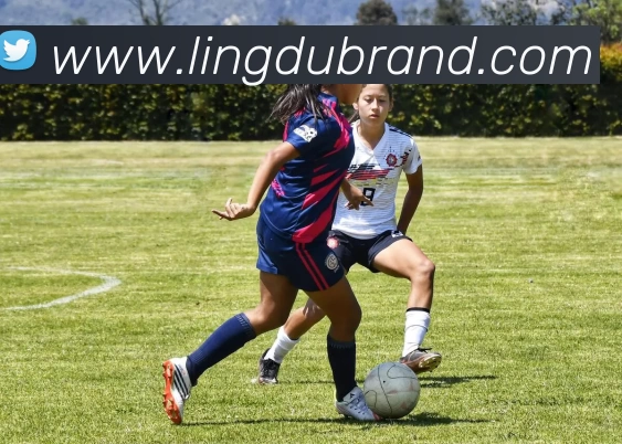 华体会app发展历程