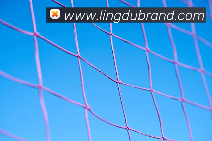 华体会app品牌故事