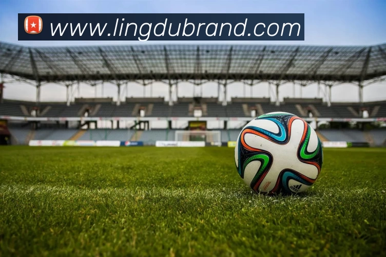 华体会app服务体系